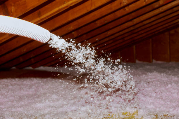 Best Fiberglass Insulation in Hutchinson Island South, FL