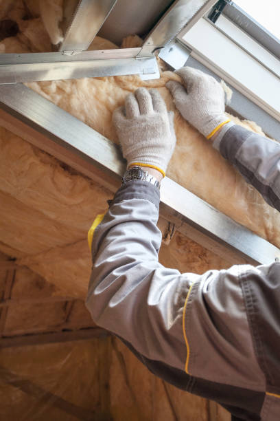 Best Cellulose Insulation in Hutchinson Island South, FL
